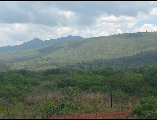 FARM FOR SALE IN LOUIS TRICHARDT